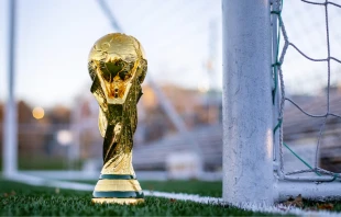 Imagen referencial / Copa del Mundial de Fu00fatbol. Cru00e9dito: Rhett Lewis / Unsplash. 