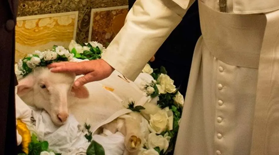 El Papa Francisco acaricia uno de los corderos bendecidos / Foto: L'Osservatore Romano?w=200&h=150