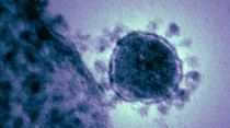 Coronavirus. National Institute of Health / Dominio público