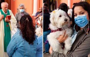 Diu00e1cono del Santuario de la Cruz de los Milagros (Corrientes, Argentina) bendice animales el 29 de abril de 2022 | Cru00e9dito: Cortesu00eda de Rafael Billordo, secretario parroquial  