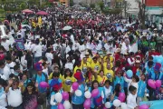 Más de 180 mil marcharon en defensa de la vida y la familia en sur de Perú [FOTOS y VIDEO]