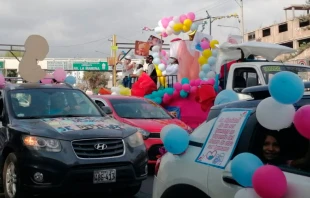 15u00b0 Gran Corso por la Vida y la Familia en Arequipa. Cru00e9dito: Arzobispado de Arequipa 