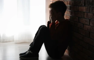 Foto referencial. Cru00e9dito: Shutterstock 