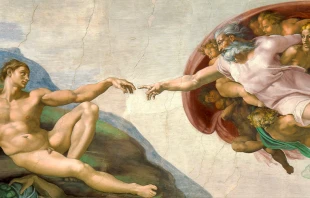 La creaciu00f3n de Adu00e1n de Miguel u00c1ngel / Cru00e9dito: Dominio Pu00fablico 