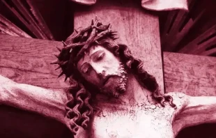 Imagen referencial. Cru00e9dito: Pixabay 