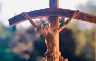 Imagen referencial. Cru00e9dito: Pixabay 