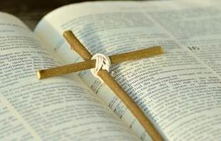 Foto referencial. Foto: Pixabay. Dominio Pu00fablico  