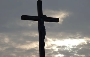 Imagen referencial. Cru00e9dito: Pixabay 