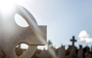 Foto referencial. Crédito: Simeon Muller / Unsplash 