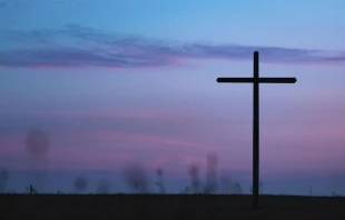 Imagen referencial. Cru00e9dito: Unsplash 