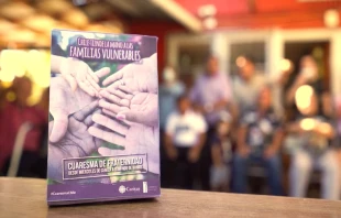 Cuaresma de Fraternidad 2022. Cru00e9dito: Cu00e1ritas Chile. 