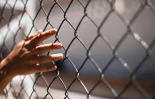 Imagen referencial / Cru00e9dito: Unsplash  