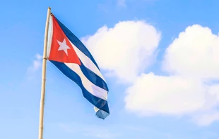 Imagen referencial. Cru00e9dito: Foto de Gayatri Malhotra en Unsplash 