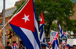 Protestas por Cuba / Cru00e9dito: Flickr de lezumbalaberenjena (CC BY-NC-ND 2.0) 