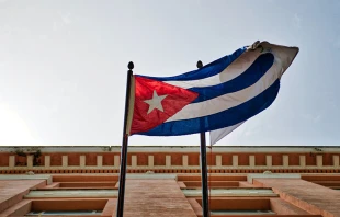 Imagen referencial / Cru00e9dito: Pexels 