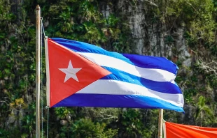 Imagen referencial. Cru00e9dito: Unsplash. 