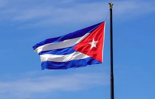 Imagen referencial. Cru00e9dito: Unsplash. 