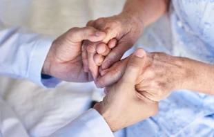 Imagen referencial. Crédito: Shutterstock / Robert Kneschke.