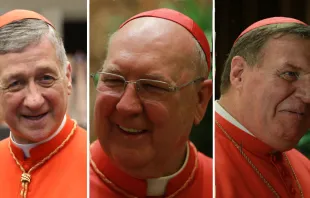 Los tres nuevos cardenales de Estados Unidos: Blase Cupich, Kevin Farrell y Joseph Tobin. Fotos: Daniel Ibáñez (ACI Prensa) 