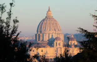 Cúpula de la Basílica de San Pedro en el Vaticano. (Imagen referencial). Foto: Daniel Ibáñez / ACI Prensa 