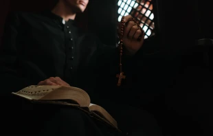 Imagen referencial. Cru00e9dito: Foto de cottonbro / Pexels 