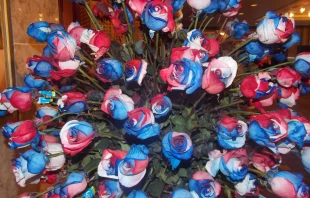 Rosas ecuatorianas con los colores de Corea a la entrada del Centro de Prensa para la visita del Papa Francisco (foto Walter Su00e1nchez Silva / ACI Prensa) 