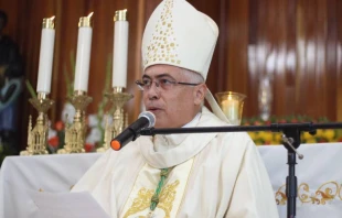 Mons. Daniel Fernu00e1ndez Torres. Cru00e9dito: Diu00f3cesis de Arecibo. 