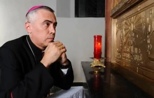 Mons. Daniel Fernu00e1ndez Torres, Obispo de Arecibo. Cru00e9dito: Diu00f3cesis de Arecibo. 