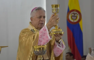 Mons. Daru00edo de Jesu00fas Monsalve Meju00eda. Cru00e9dito: Arquidiu00f3cesis de Cali. 