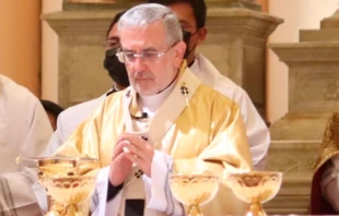 Mons. Javier del Ru00edo Alba. Cru00e9dito: Arzobispado de Arequipa 