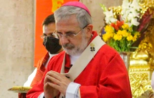 Mons. Javier del Ru00edo Alba. Cru00e9dito: Arzobispado de Arequipa 