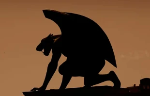 Foto referencial. Cru00e9dito: Flickr de Estitxu Carton (CC-BY-SA 2.0) 