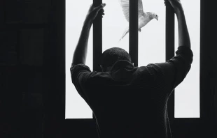 Imagen referencial / Cru00e9dito: Unsplash  