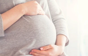 Imagen referencial / Cru00e9dito: Pixabay 