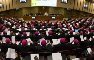 Foto: L'Osservatore Romano 