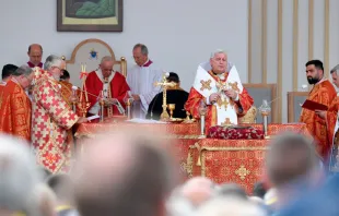 El Papa Francisco presidió la Divina Liturgia de San Juan Crisóstomo. Foto: Vatican Media / EWTN 