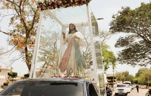 Imagen de Jesús de la Divina Misericordia recorriendo las calles de Maracaibo. Créditos: Juan y Mena / Asociación María Camino a Jesús 