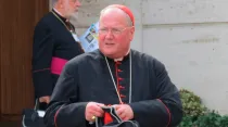 Cardenal Timothy Dolan / Crédito: Alan Holdren - ACI Prensa