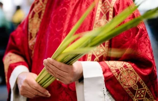 Imagen referencial / Sacerdote en Domingo de Ramos, al inicio de la Semana Santa. Cru00e9dito: Grant Whitty / Unsplash. 