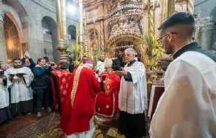 Domingo de Ramos en la Basílica del Santo Sepulcro. Crédito: PGPO/CTS 