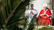 El Papa Francisco este Domingo de Ramos. Crédito: Daniel Ibáñez/ACI Prensa