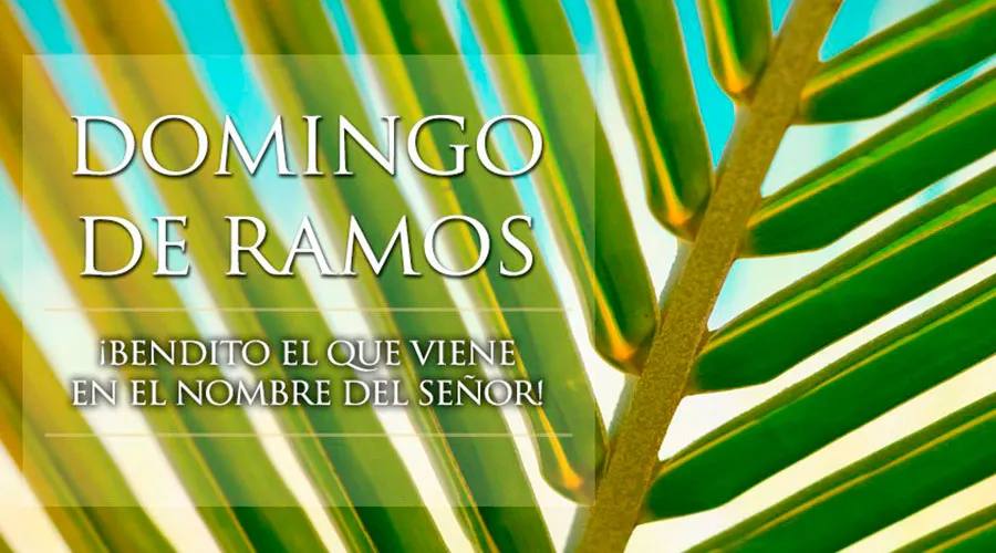 Domingo de Ramos: ¡Bendito el que viene en el nombre del Señor!