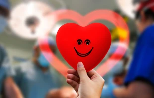 Foto referencial. Cru00e9dito: Pixabay 