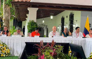 Mesa de diálogo entre el ELN y el gobierno de Colombia. Crédito: Transmisión oficial 