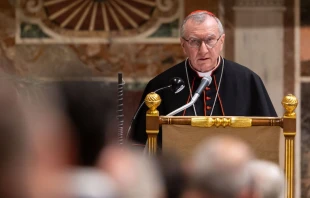 Cardenal Pietro Parolin/Imagen referencial. Cru00e9dito: Daniel Ibu00e1u00f1ez/EWTN Vatican Pool 