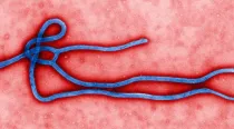 Virus del ébola (Imagen Flickr The Global Panorama)