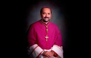 Mons. Edgar Moreira da Cunha / Foto: Diu00f3cesis de Fall River 