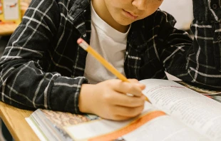 Imagen referencial / Cru00e9dito: Pexels 