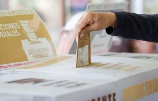 Foto referencial elecciones. Cru00e9dito: ACI Prensa 