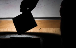 Imagen referencial / Cru00e9dito: Flicker de michael_swan (CC BY-ND 2.0) 